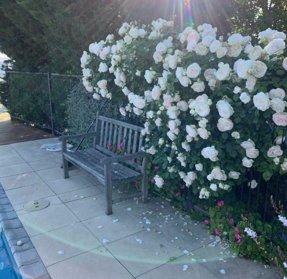 Amazing Views Pet Friendly Bed And Breakfast