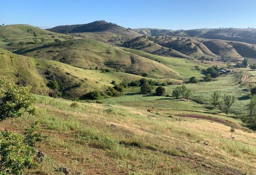 Amazing Views Pet Friendly Bed And Breakfast