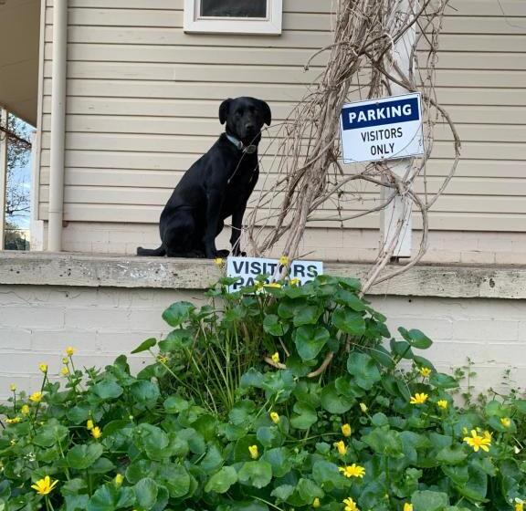 Amazing Views Pet Friendly Bed And Breakfast