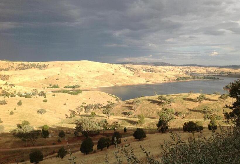 Amazing Views Pet Friendly Bed And Breakfast