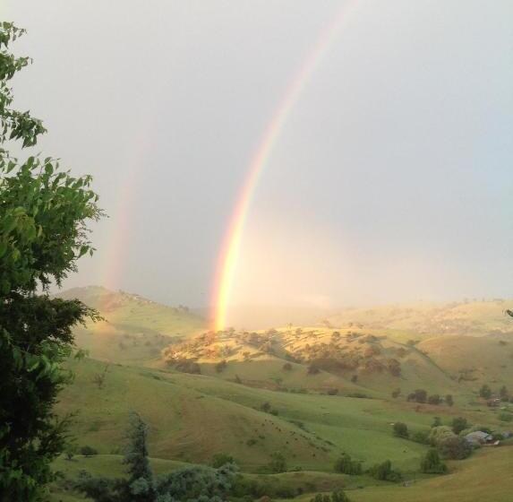 Amazing Views Pet Friendly Bed And Breakfast