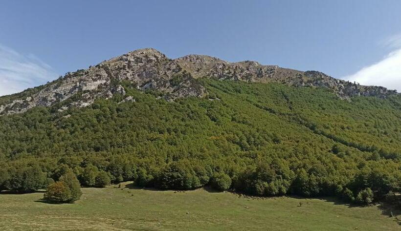 B&b Il Campanile Di Leone Pina