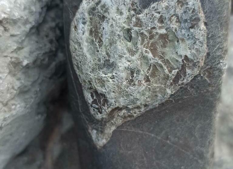 B&b Il Campanile Di Leone Pina