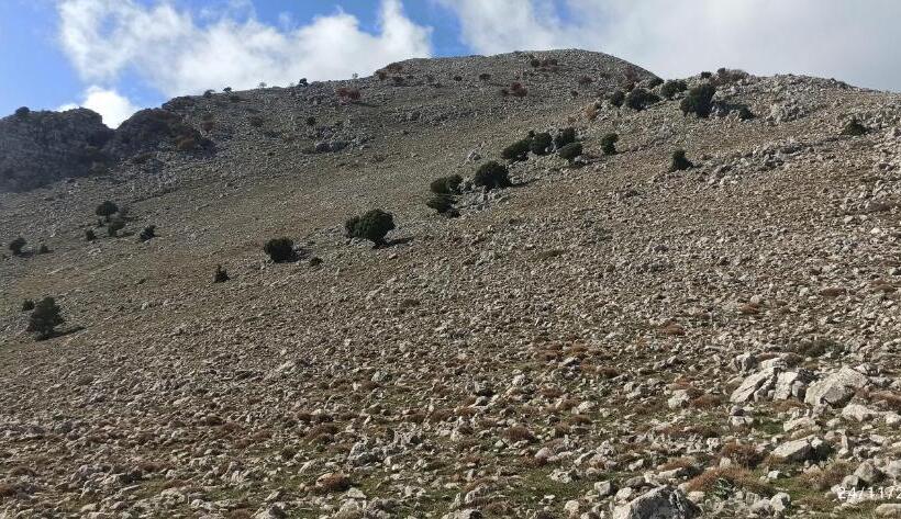 B&b Il Campanile Di Leone Pina
