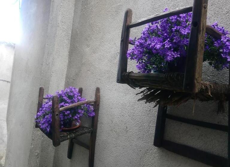 B&b Il Campanile Di Leone Pina