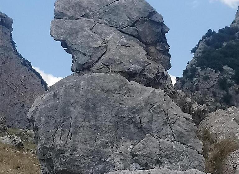 B&b Il Campanile Di Leone Pina