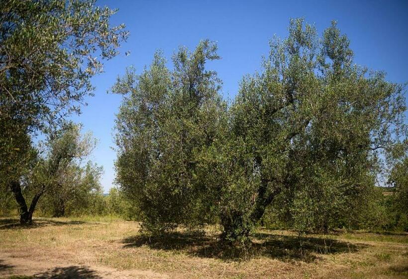 B&b Vallecupa