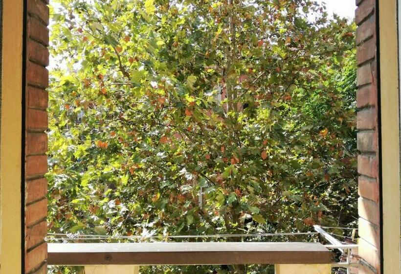 ベッドアンドブレックファースト Camera D Or