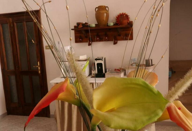 Bed and Breakfast Casa Antica