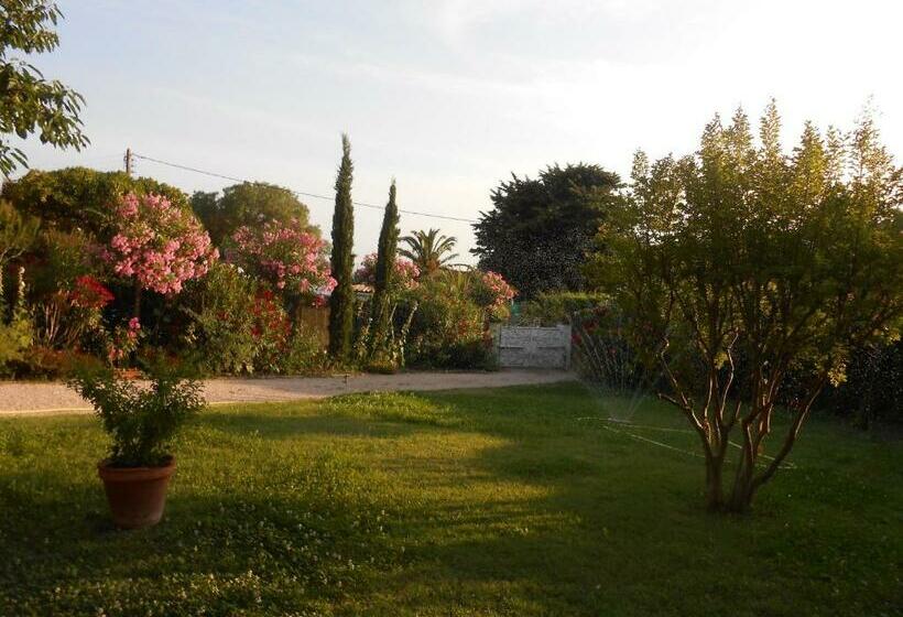 צימר Chez Mamouska