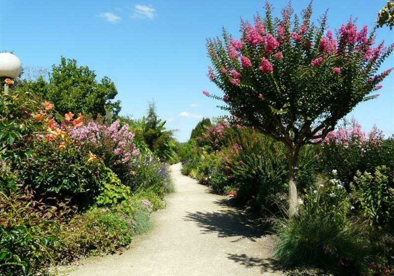 צימר L Airial De Nahouns