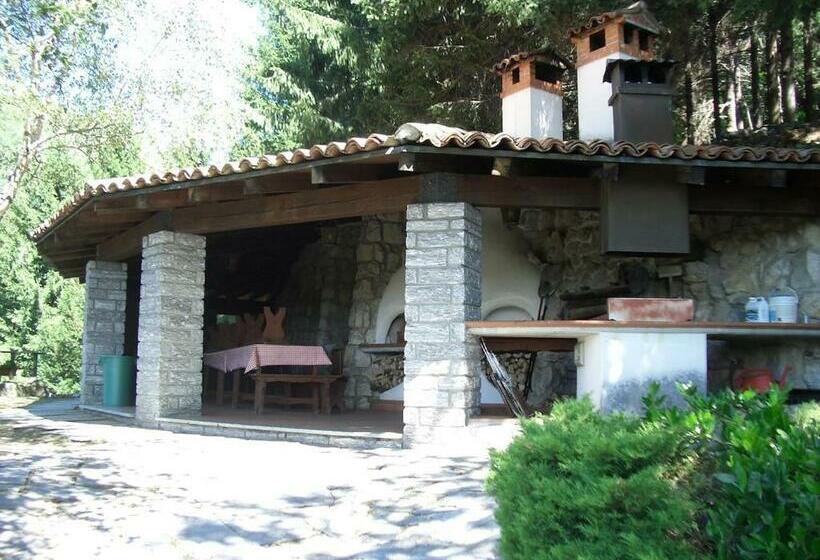 ベッドアンドブレックファースト L Helleboro