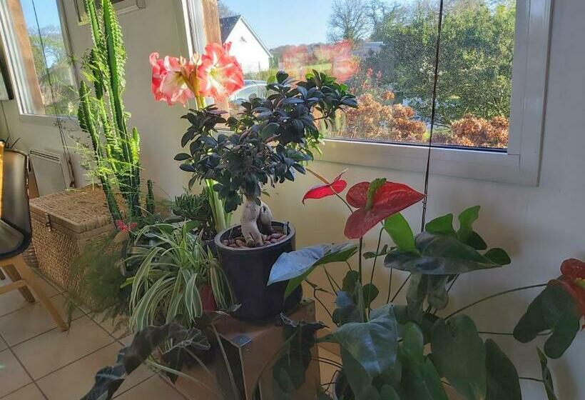 Bed and Breakfast L Oustaou Du Bodo