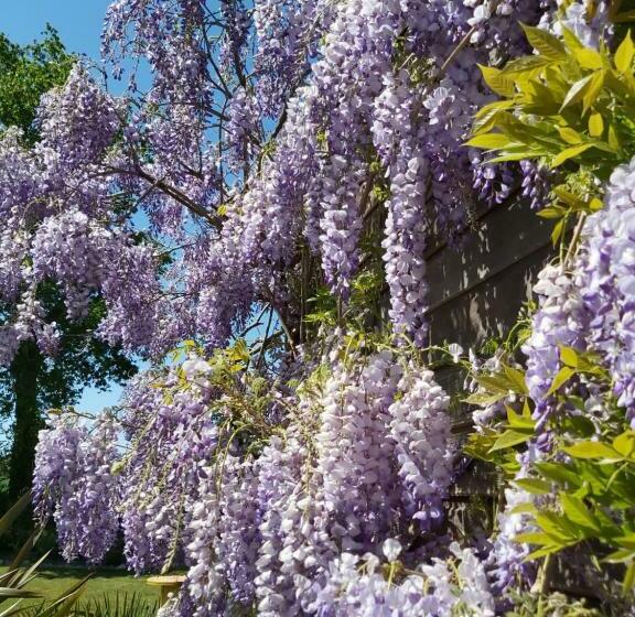 Bed and Breakfast L Oustaou Du Bodo