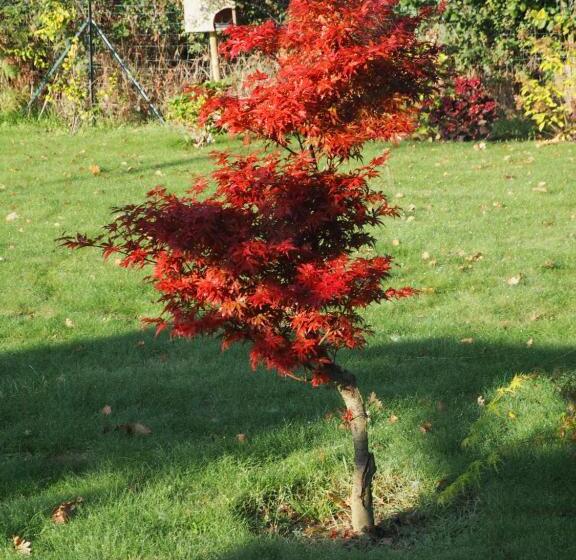 Bed and Breakfast L Oustaou Du Bodo