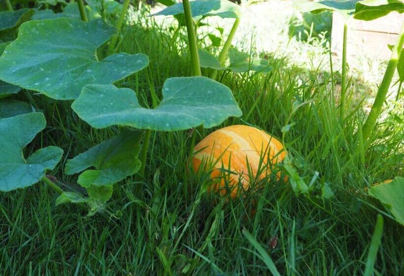 Bed and Breakfast L Oustaou Du Bodo