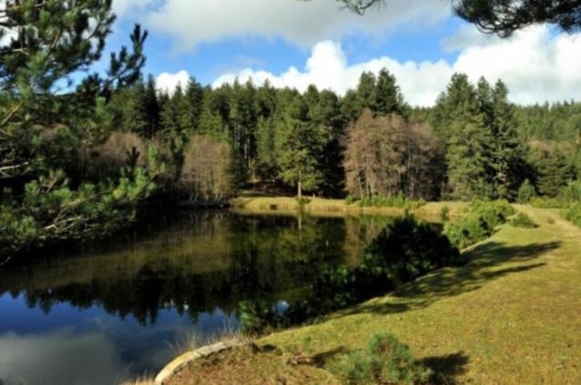 تختخواب و صبحانه La Casa Di Chiaretta