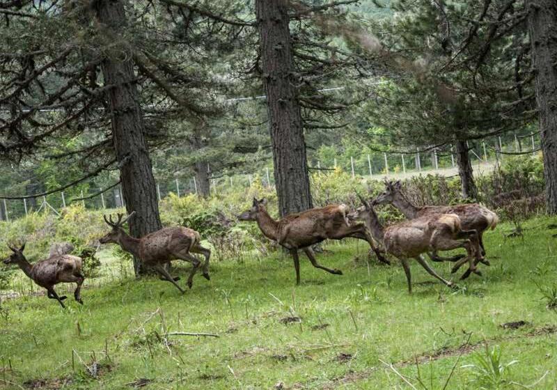 تختخواب و صبحانه La Casa Di Chiaretta