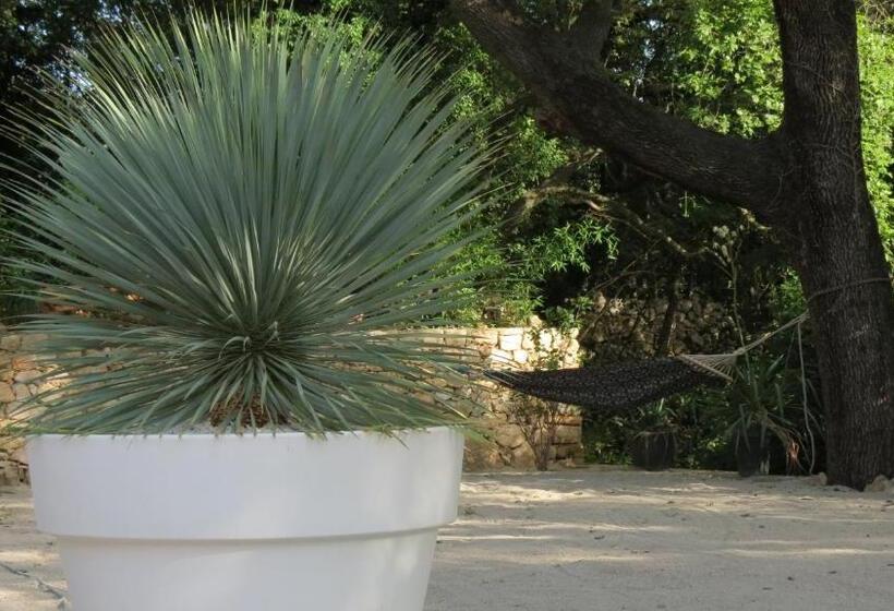 مبيت وإفطار Le Castellas Du Pic St Loup