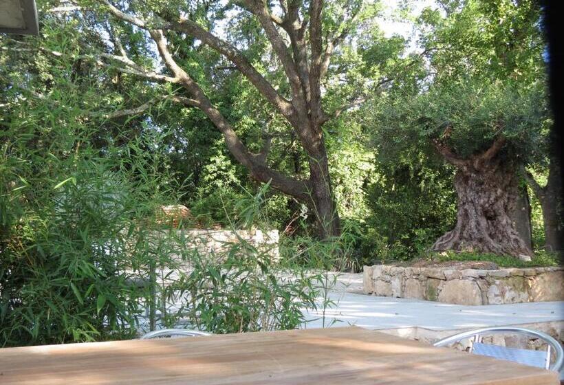 مبيت وإفطار Le Castellas Du Pic St Loup