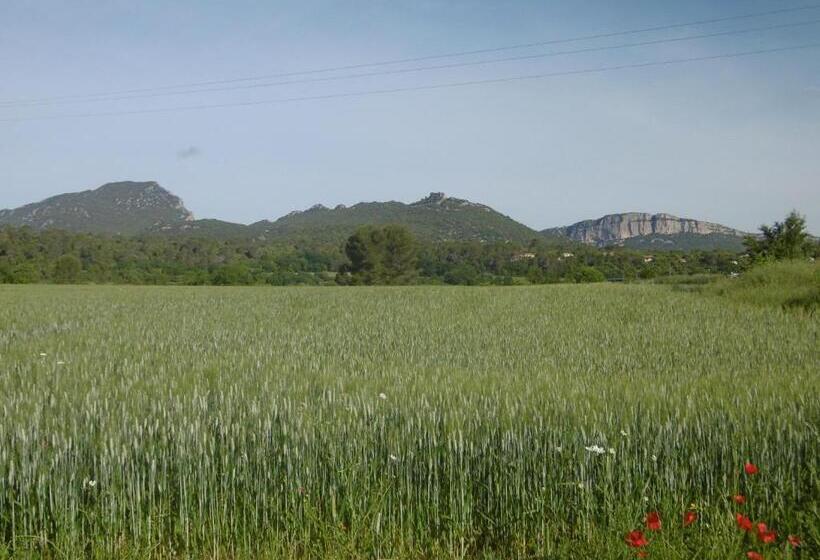 مبيت وإفطار Le Castellas Du Pic St Loup