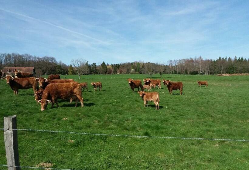 צימר Maison Maton