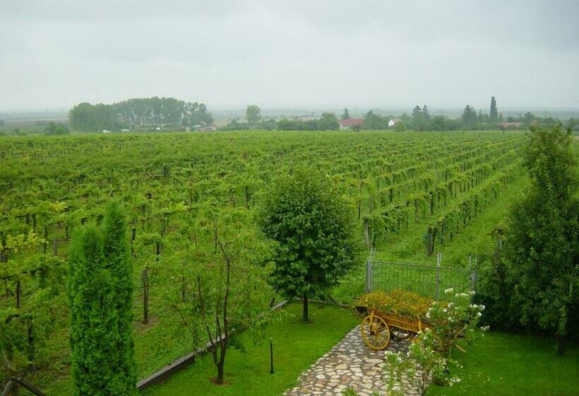 צימר Nitt Pince és Panzió