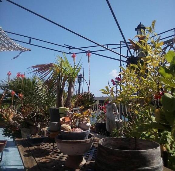 住宿加早餐  Terrazza Incanto