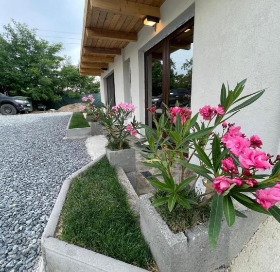 ベッドアンドブレックファースト Wineyards Salin