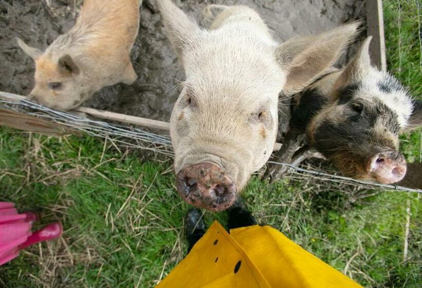 Cwtch Farm Bed & Breakfast