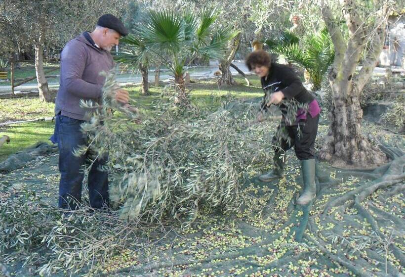 בית מלון כפרי Agriturismo Il Cappellano
