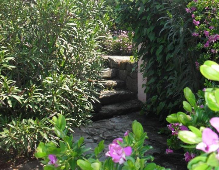 בית מלון כפרי Agriturismo Muristene