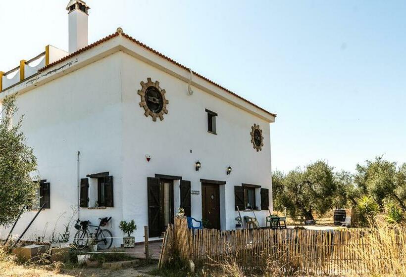 ホテル Finca Casa Halcon