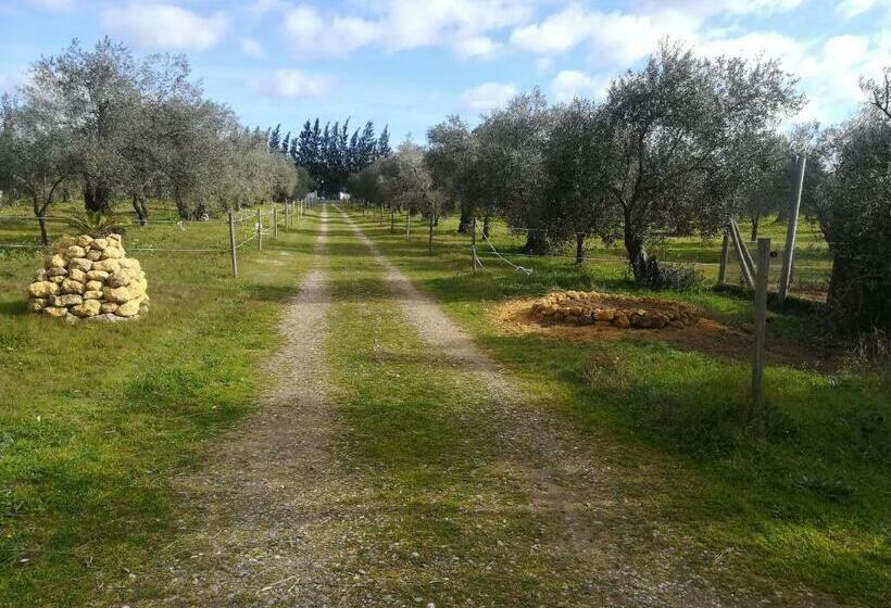 ホテル Finca Casa Halcon