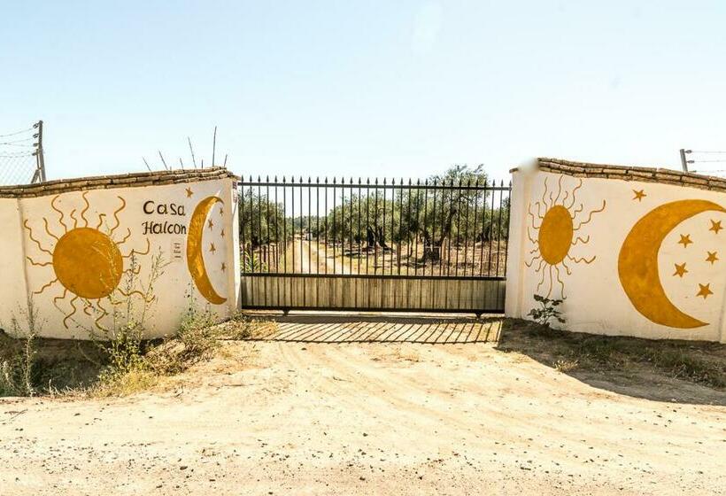 ホテル Finca Casa Halcon