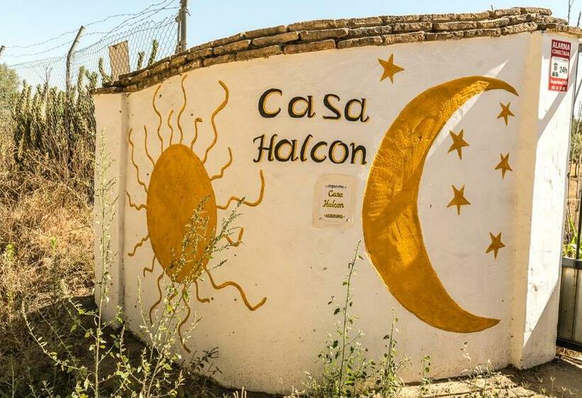 ホテル Finca Casa Halcon