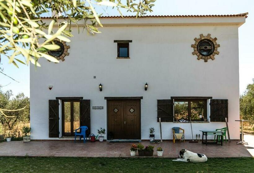 ホテル Finca Casa Halcon