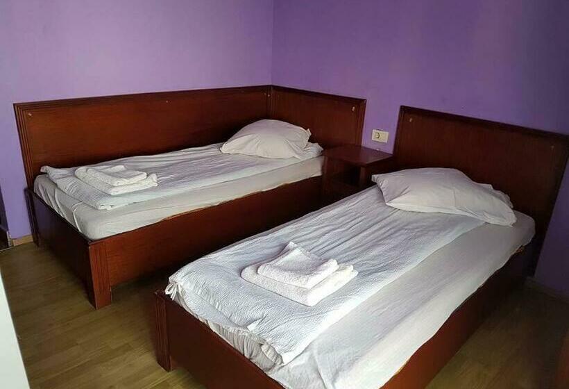 בית מלון כפרי Pensiunea Balea