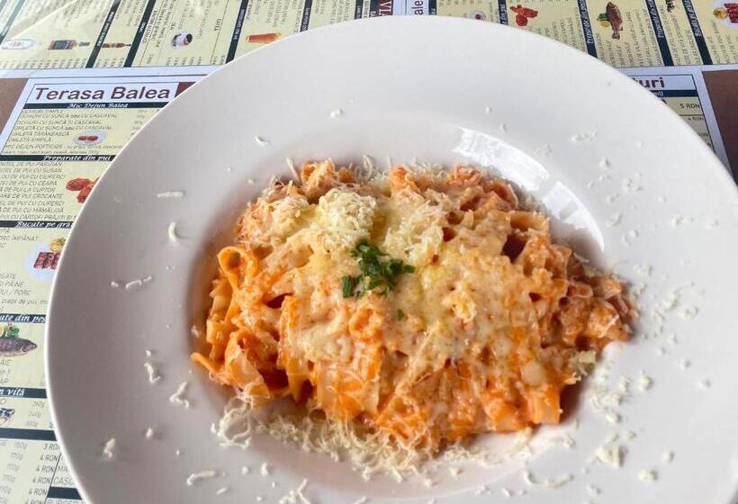 בית מלון כפרי Pensiunea Balea