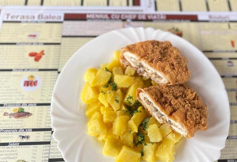 בית מלון כפרי Pensiunea Balea