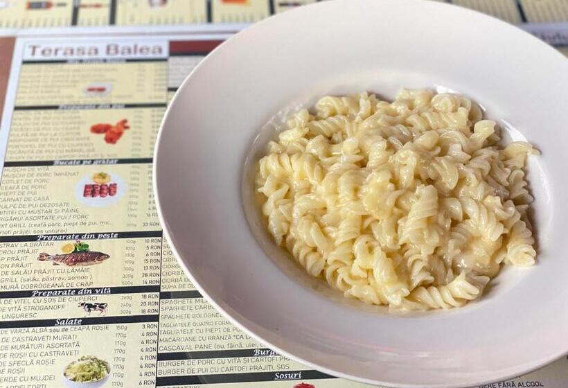 בית מלון כפרי Pensiunea Balea