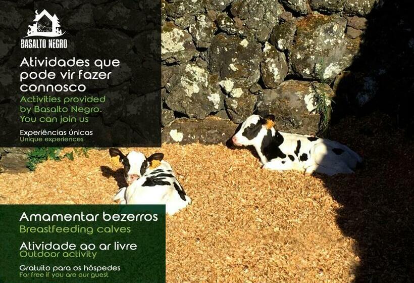 פנסיון Basalto Negro Al