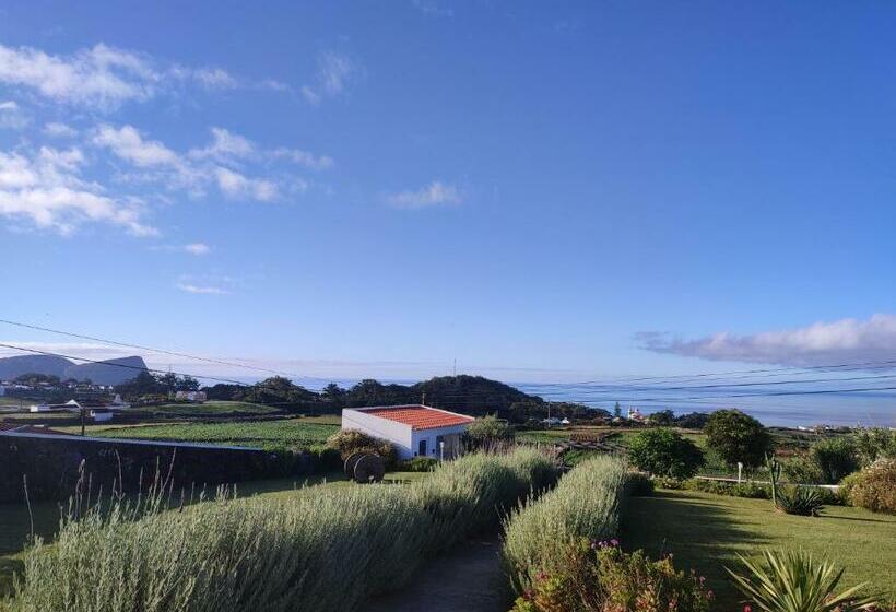 פנסיון Basalto Negro Al