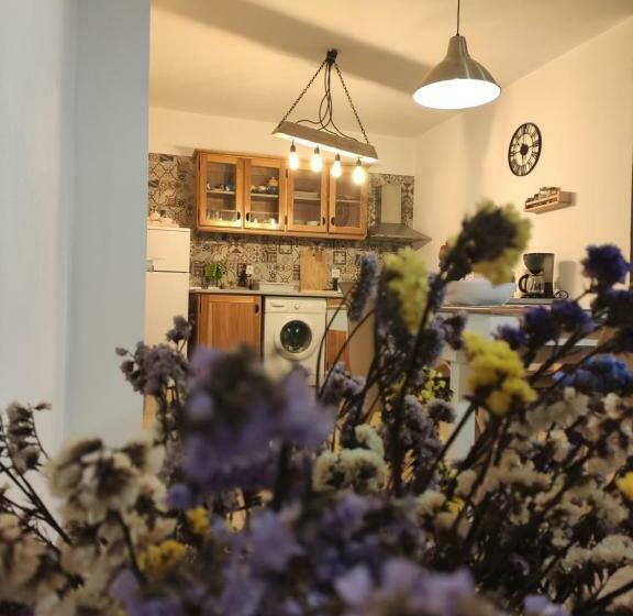 פנסיון Basalto Negro Al