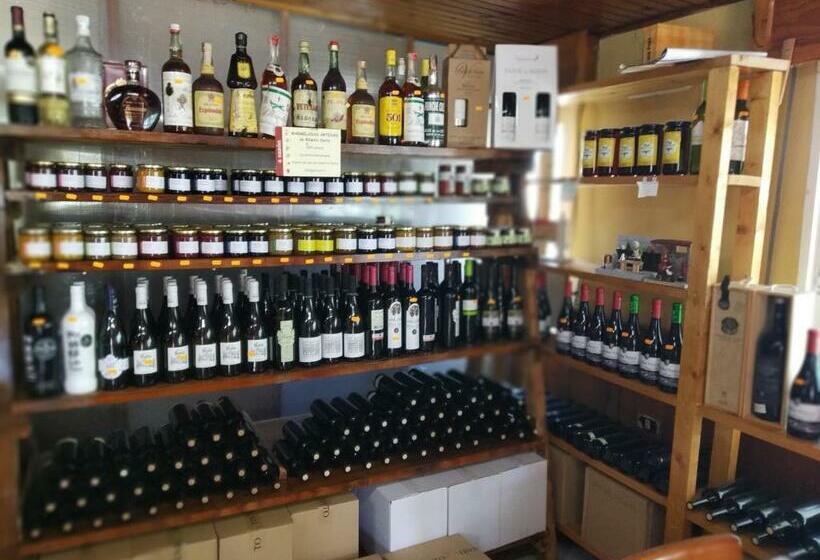 פנסיון Casa Pepe