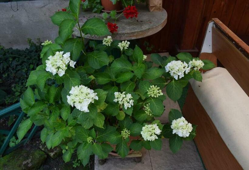 膳宿费 Cluj Center 2