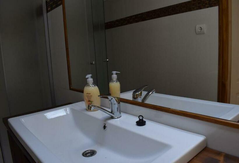 膳宿费 Cluj Center 2