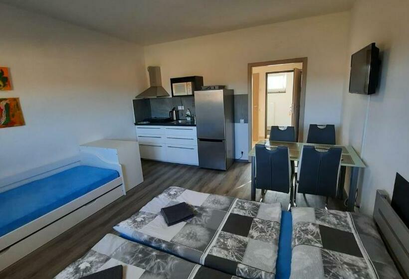 بنسيون Penzion U Vody