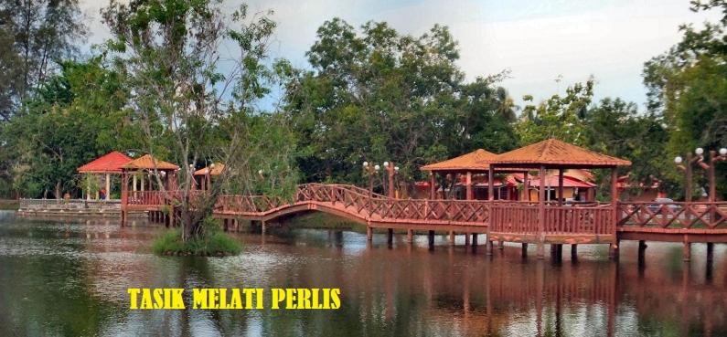 Пансион Syed Homestay Arau