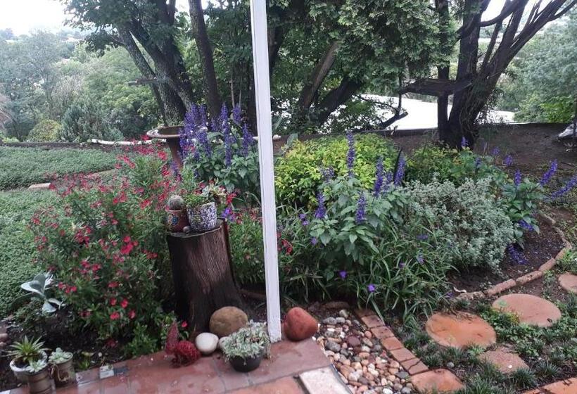 بنسيون The Nest